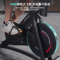 舒华(SHUA)家用智能动感单车磁控减肥运动健身器材 健身车 SH-B382