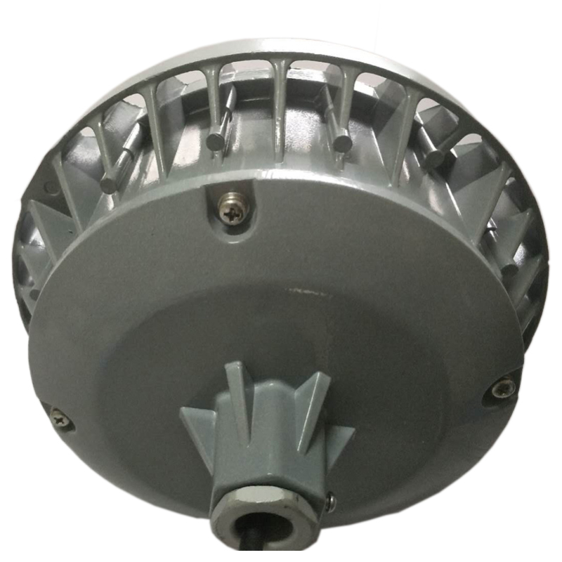 领航电器(LHDQ) LHF2109C/YJ LED应急吊杆灯 30W 应急时间90min 冷光 220V IP65