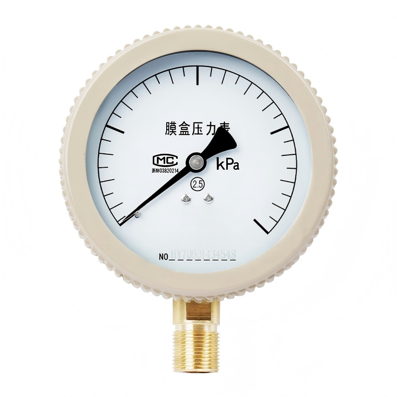 德力西(DELIXI) 膜合压力表 YE-100 40KPA(单位:个)高清大图