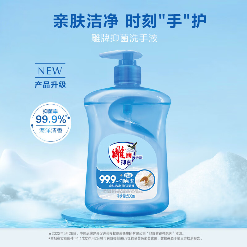 雕牌 抑菌洗手液500ml 按压海盐清洁抑菌海洋护手家庭装清香家用