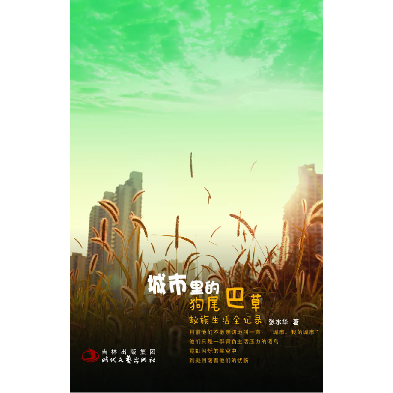 正版新书]城市里的狗尾巴草-蚁族生活全纪录张水华.978753873151高清大图