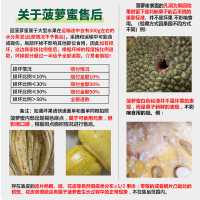 [西沛生鲜]海南红肉菠萝蜜 新鲜水果 香甜可口 1个 6-8斤装 西沛水果