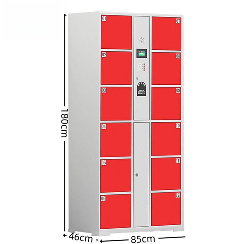 智叶舟智能储物柜指纹密码12门850*460*1800mm台高清大图