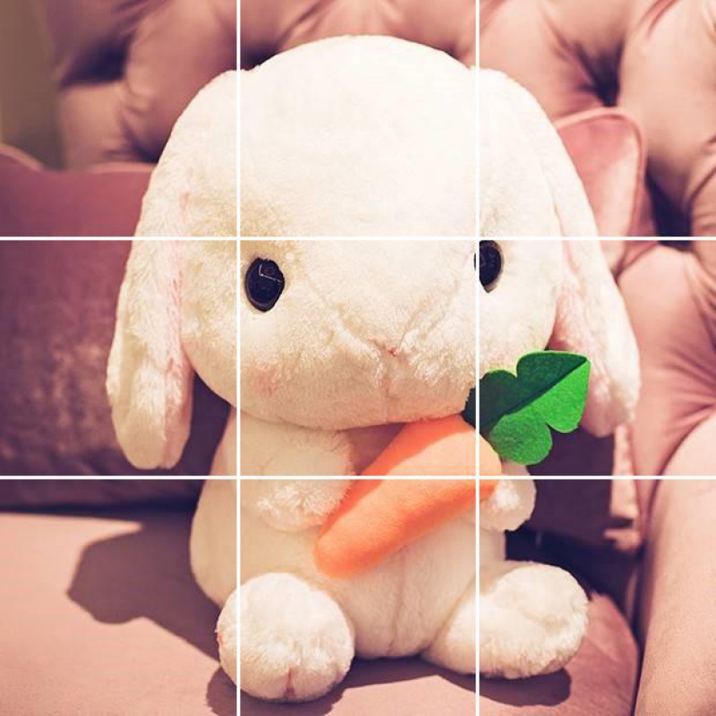 小兔子少女心生日女生公仔垂耳兔毛绒新款玩具布娃娃玩偶可爱 白色抱垂耳兔 75厘米高清大图