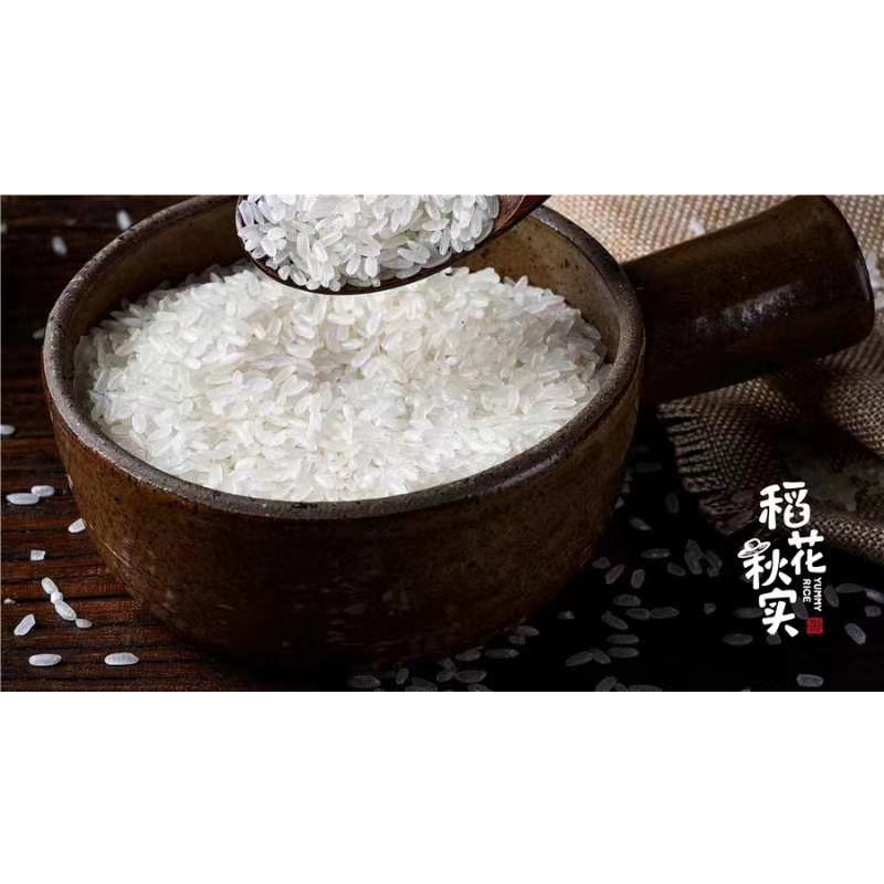 稻花秋实 东北黑龙江 大米新米10斤包装 东北粳米 长粒米5kg