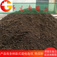 吊兰花土 花卉盆栽种植土 专用土 营养土 金边吊兰土壤 大包