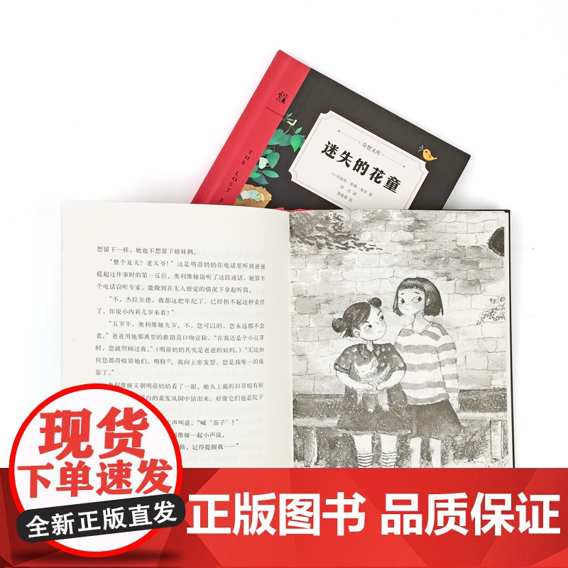 迷失的花童(奇想文库)纽伯瑞儿童文学奖得主匠心独运之作,美国图书馆协会童书奖,美国《学校图书馆杂志》年度图书高清大图