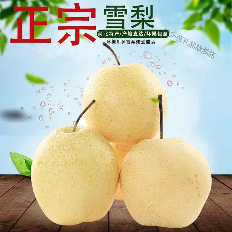 湛航 正宗赵县雪梨 整箱川贝当季赵州雪花梨子水果新鲜