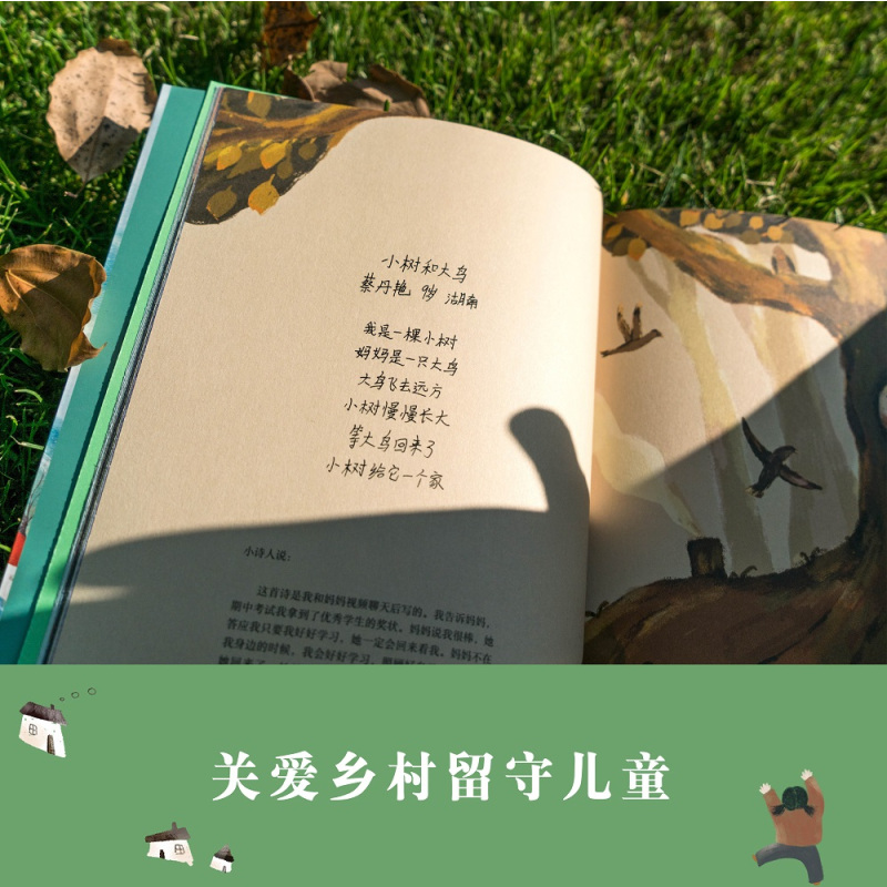 姜二嫚的诗 [正版]大山里的小诗人 是光的孩子们著 王耀庆献声鲁豫落泪120首 7-15岁山里孩子的诗31位画家精美配图