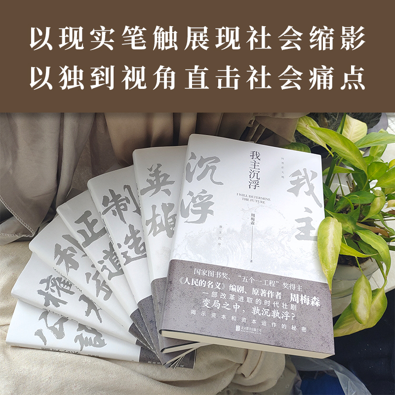 [正版]我主沉浮 周梅森 教科书级反腐小说 纵览风云人物,看二十年起落沉浮 中国当代长篇小说 人民的名义官场小说人间正高清大图