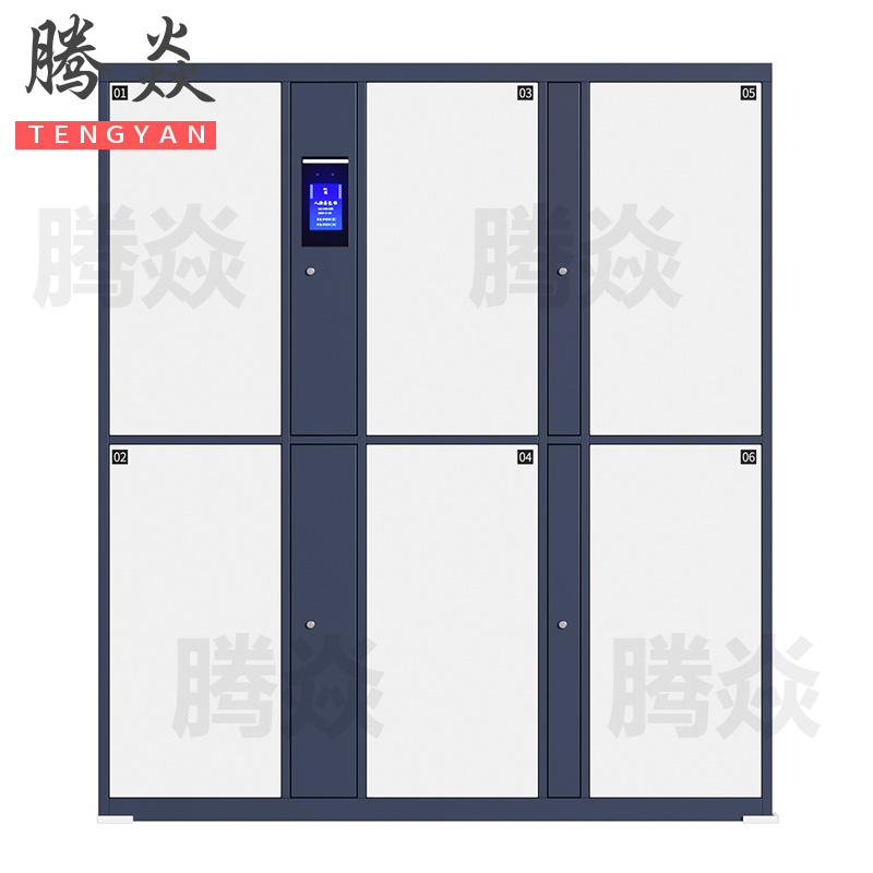 腾焱拖箱存放柜6门台高清大图