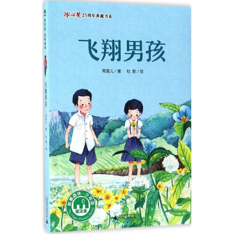 【M】飞翔男孩-9787549590230