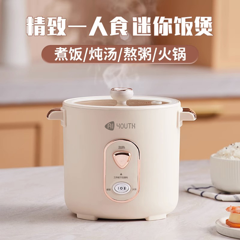 艾青春(AIYOUth)迷你电饭锅WT-12J高清大图