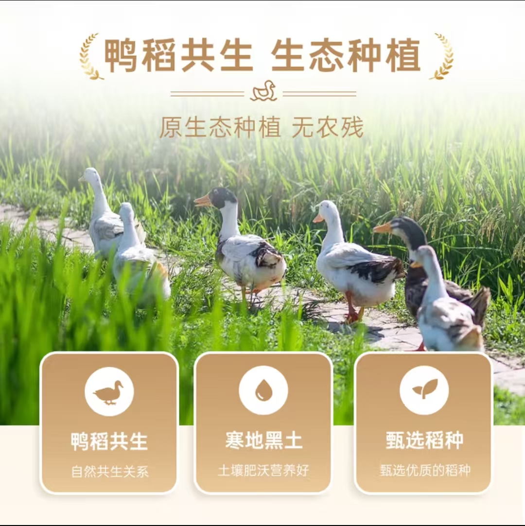 咪然天然鸭稻米 辽宁锦州生态产区大米 生态珍珠米 10斤高清大图