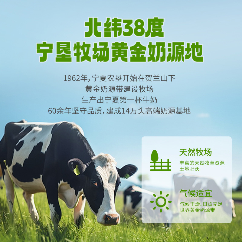 认养地球4.0纯牛奶200ml*10盒营养早餐奶宁垦牧场礼盒装奶香浓郁高清大图