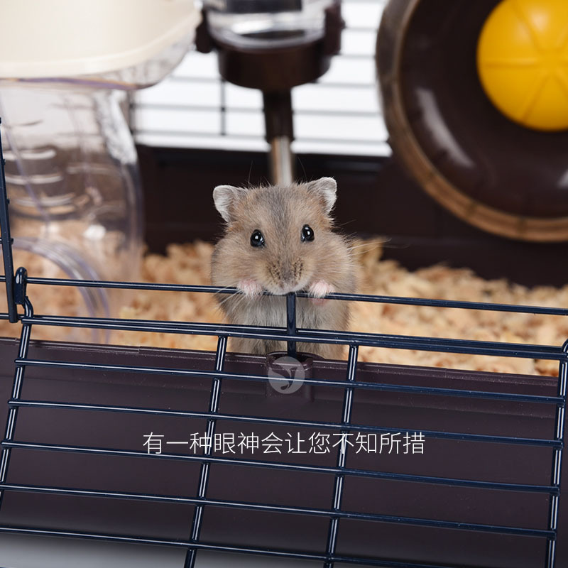 仓鼠笼子用品齐全金丝熊笼套装花枝鼠活物小窝防越狱房子别墅窝高清大图