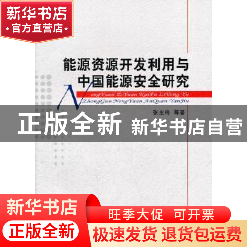 正版 能源资源开发利用与中国能源安全研究 张生玲 等 经济科学出高清大图