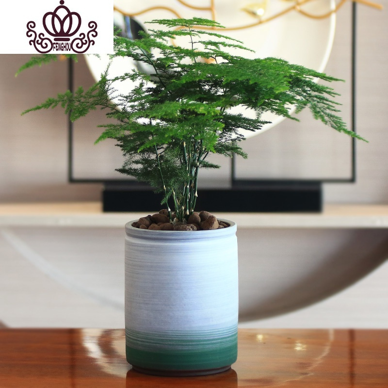 封后fenghou园艺用品