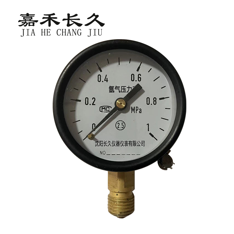 嘉禾长久氩气压力表y60个