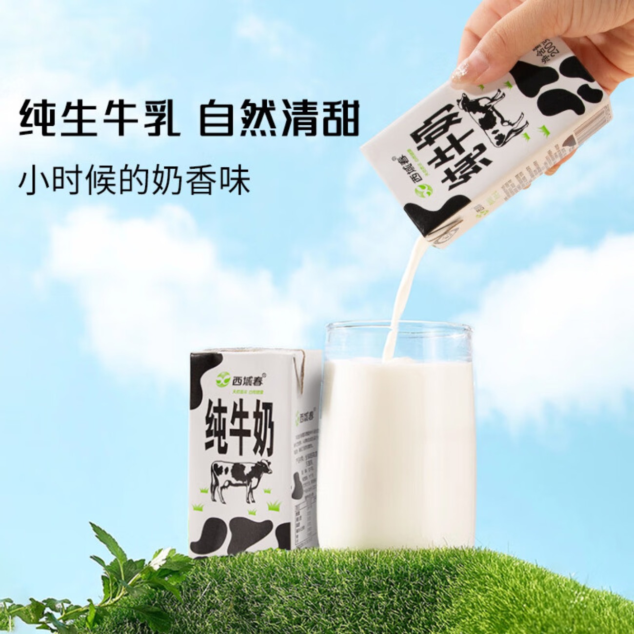 西域春|黑砖纯牛奶200g*20盒高清大图