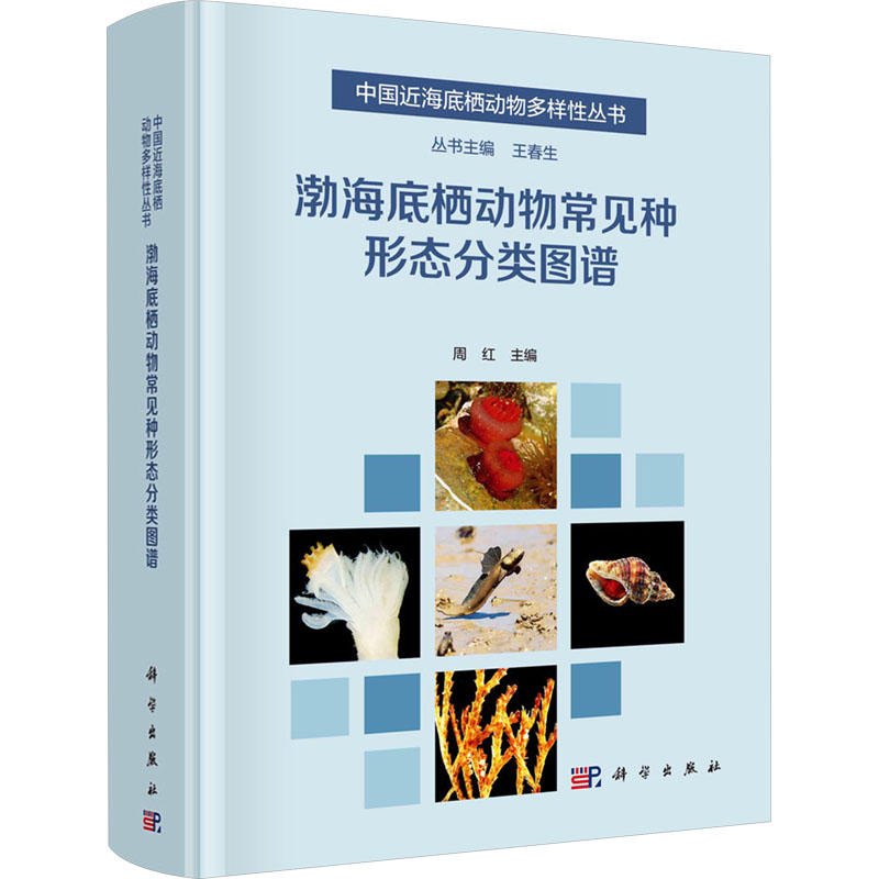 [M]渤海底栖动物常见种形态分类图谱-9787030737304高清大图