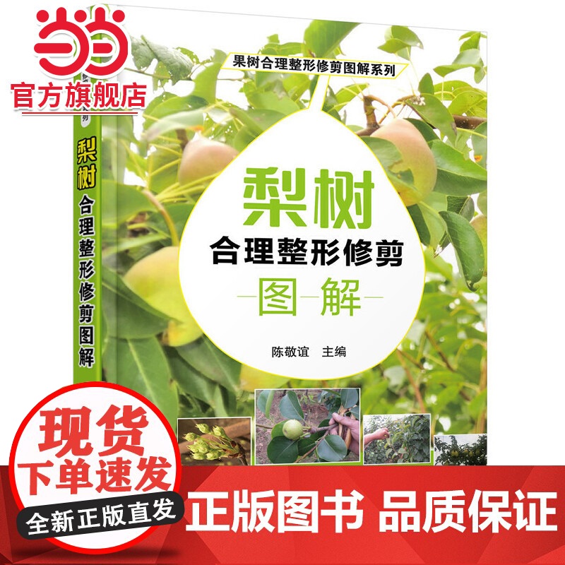 果树合理整形修剪图解系列--梨树合理整形修剪图解 陈敬谊 化学工业出版社 正版书籍