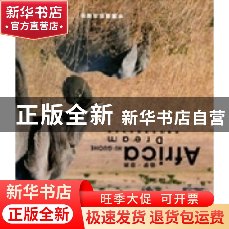 正版 追梦·非洲:the Africa photography works of Huguohe 韩科/