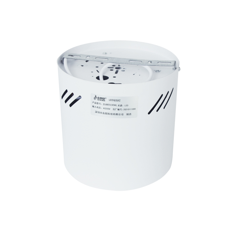 众朗星 ZL8855 LED站台灯 30W LED光源高清大图