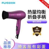 飞科（FLYCO）FH6618电吹风 负离子功能 6档变速 控温调节热量均衡护发2000W大功率可折叠手柄家用发廊吹风筒