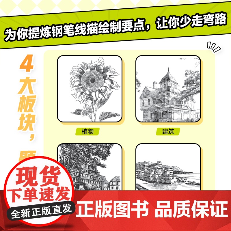 钢笔线描基础教程实战练习 新手自学入门 钢笔画教程书钢笔画手绘表现技法黑白钢笔画速写植物建筑城市风景描摹本素描线描素材高清大图