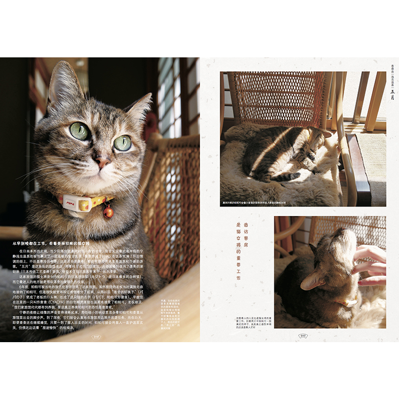 [正版]喵 欢迎来到日本的猫咪旅馆 治愈系度假旅馆集锦 日本宠物旅馆 特色猫咪服务 爱猫人士特色旅行指南 日本の猫宿