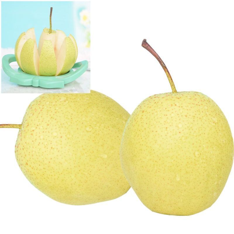 湛航河北大雪梨雪花梨10斤5斤3斤新鲜水果批发非水晶梨砀山皇冠梨视频