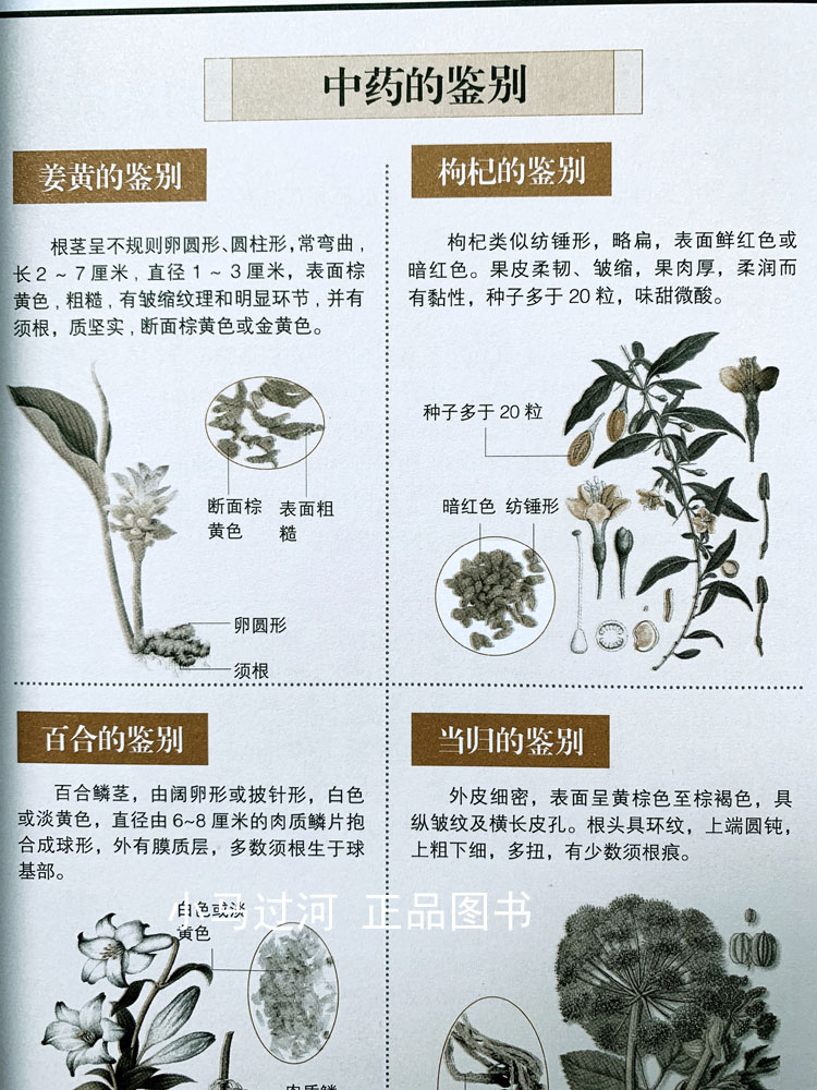 [正版]《 图解一次完全读懂中医》 中医入门书籍自诊中医书籍中医基础理论中医养生补肾家庭健康中医书保健/养生中医养生书高清大图