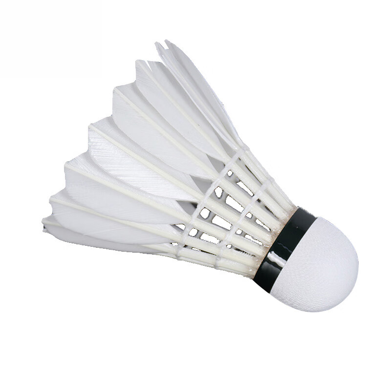 虔羽羽毛球QY-A9 筒高清大图