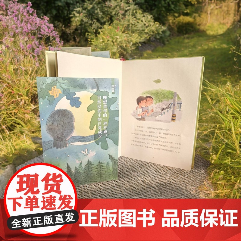 捡到一只猫头鹰精装 中国童年故事绘 儿童游戏故事书 童年 儿童成长课外阅读故事书高清大图