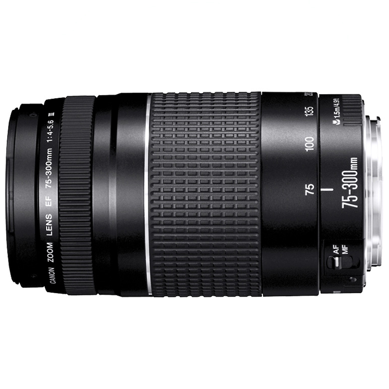 佳能(Canon) EOS 800D （75-300mm III） 数码单反相机 单镜头套装 约2420万像素