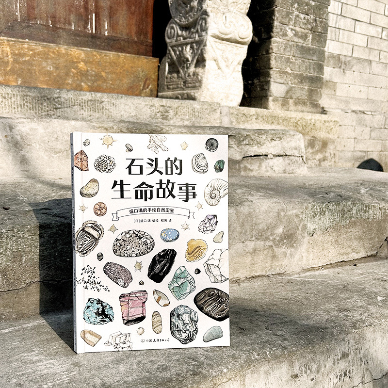 石头的生命故事 [正版]浪花朵朵 盛口满的手绘自然图鉴 石头的生命故事 7-10岁 石头地质 日本童书研究会 科普百