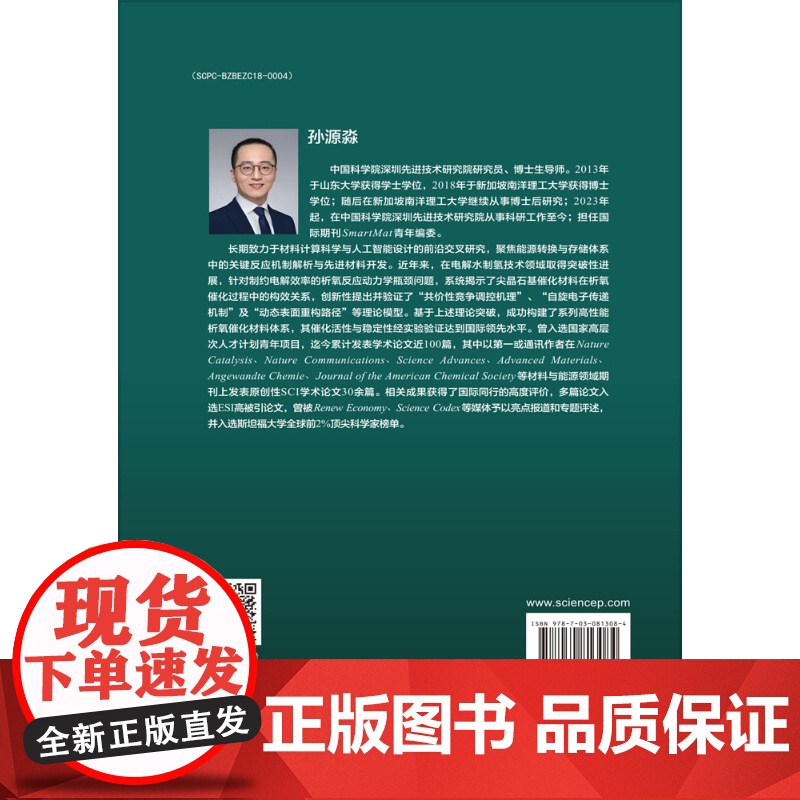 单原子催化材料 低维材料与器件丛书 科学出版社高清大图