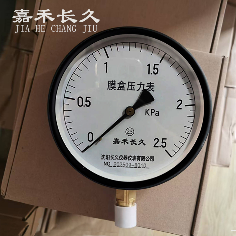嘉禾长久 膜盒压力表检测型 块高清大图