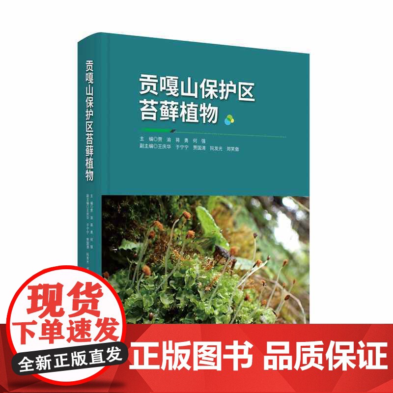 贡嘎山保护区苔藓植物高清大图