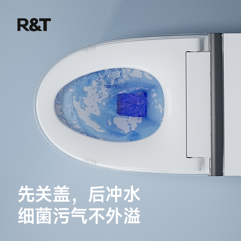 瑞尔特(R&T)智能马桶一体机家用带水箱脚感冲水座温调节无水压轻智能坐便器M2A节能版 305坑距高清大图
