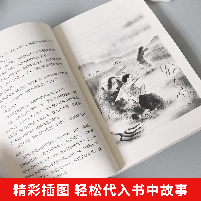 红裳 [正版]红裳“生命的光亮”儿童生命教育小说 小学生课外阅读书籍三四五年级8-9-10-12岁儿童成长励志故事书儿童高清大图