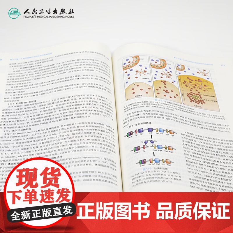 医学免疫学第7七版 人卫十三五本科规划教材西医临床医学第九轮五年病理学外科学诊断学药理学传染病学全套图书人民卫生出版社考高清大图