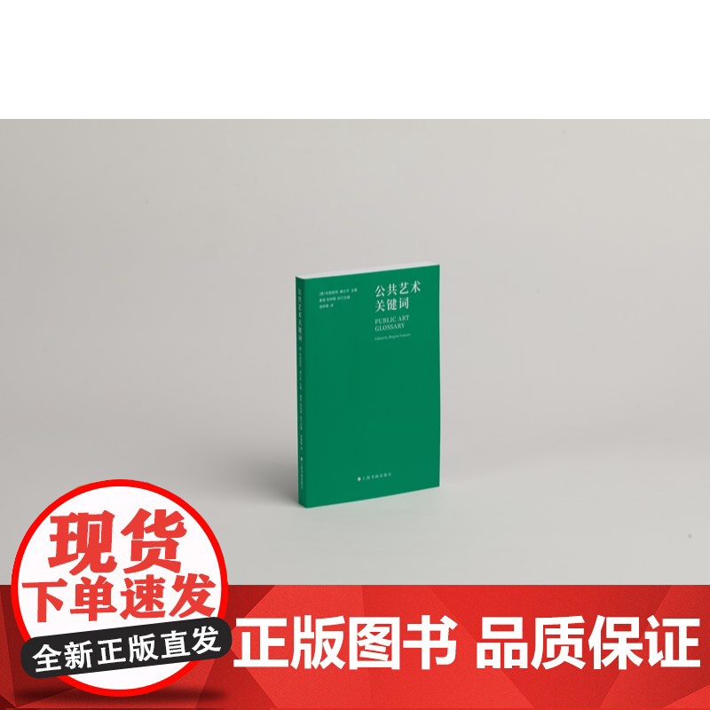 公共艺术关键词 布丽奇特弗兰岑主编姜俊张钟萄执行主编上海书画出版社理解公共艺术与城市文化重要读本艺术指南高清大图