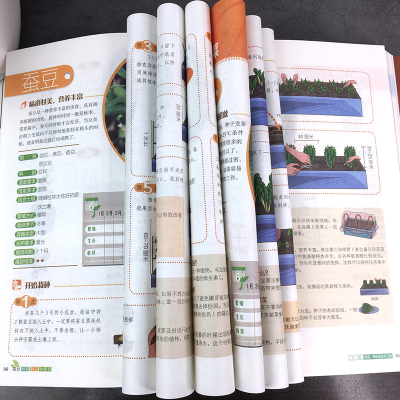 [正版]阳台种菜种花种香草彩图详解 花卉养护知识 养花教程花卉知识介绍种植栽培修剪指导繁殖法书籍鲜花品种介绍养护书室内高清大图