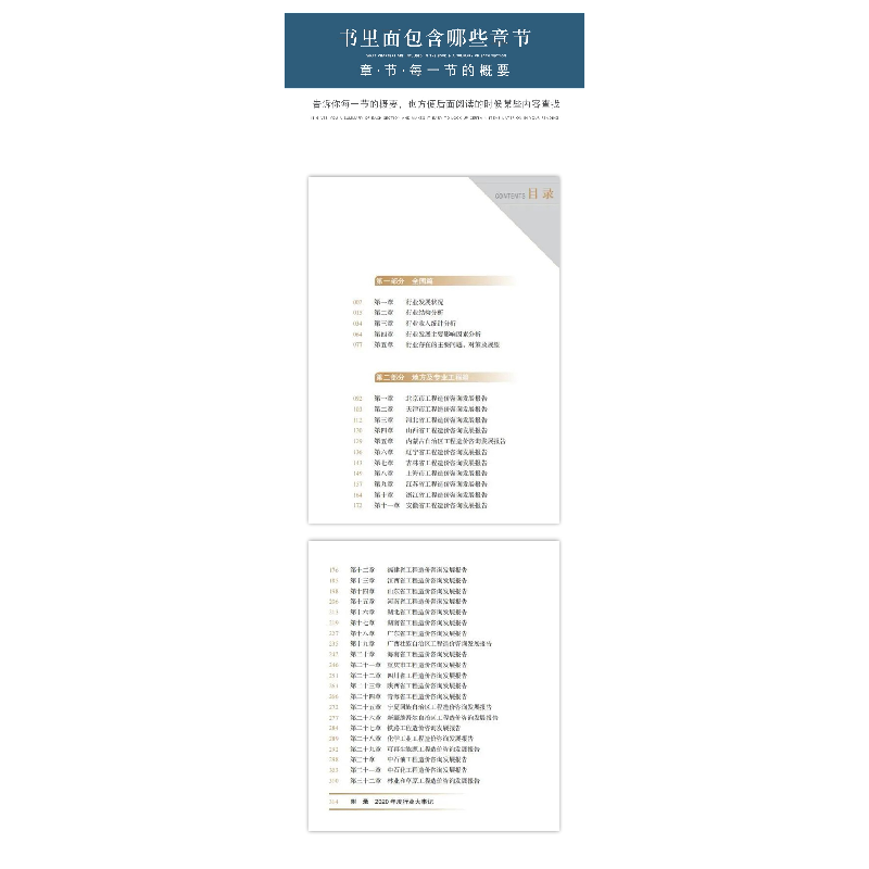 正版新书]中国工程造价咨询行业发展报告(2021版)中国建设工程造高清大图