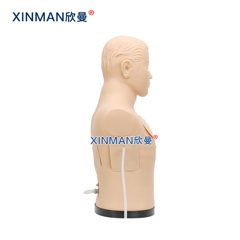 欣曼科教 胸腔穿刺引流模型 胸腔穿刺模拟训练模块XM-2021高清大图