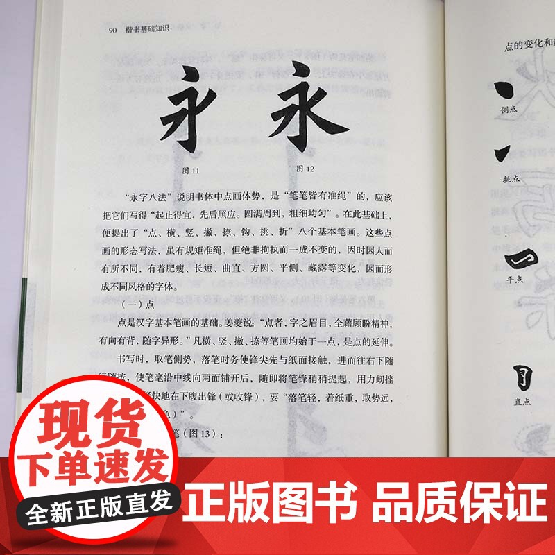楷书基础知识 任政 钱沛云著书法知识丛书楷书用笔原理基本点画分析总结演化历程书法史书籍高清大图