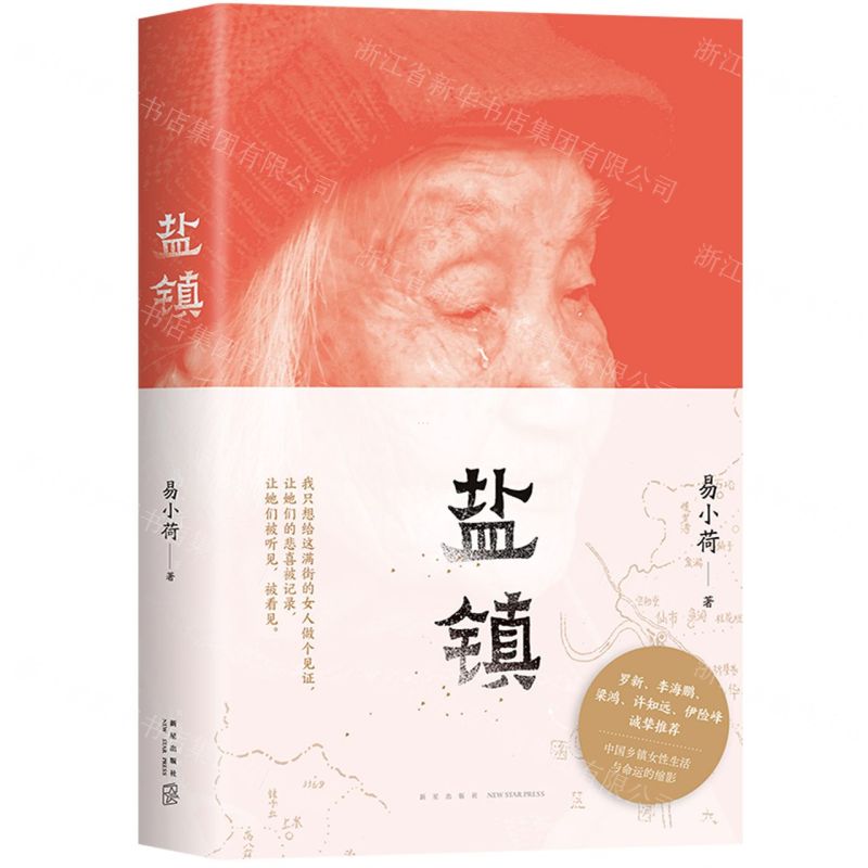 【N】盐镇-9787513351201
