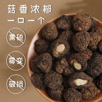 一品爽 珍珠菇100g/罐 金钱菇珍珠菇 南北干货 肉厚味鲜新货